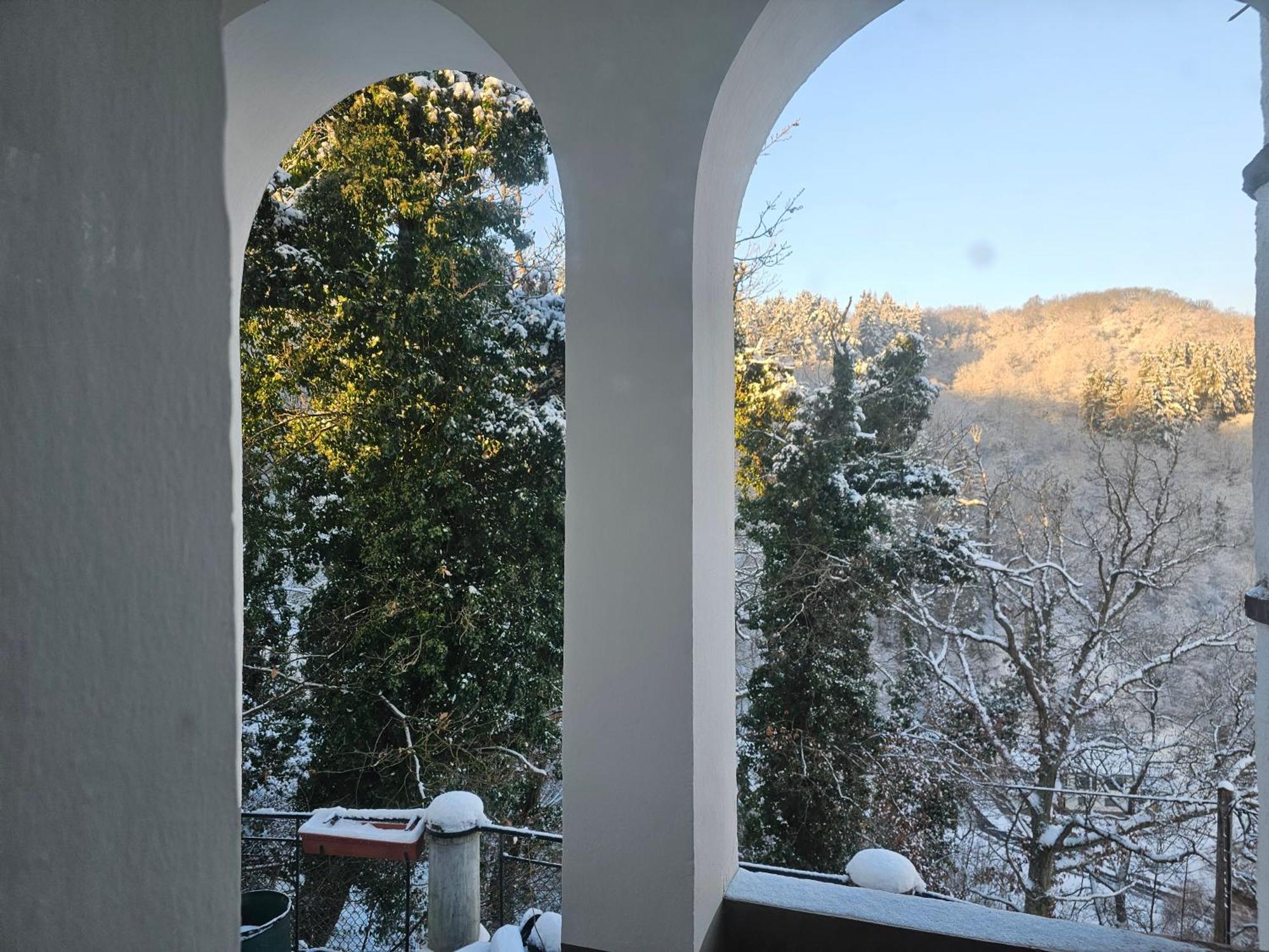 Little Rhineview Chateau Ug ボッパルト エクステリア 写真