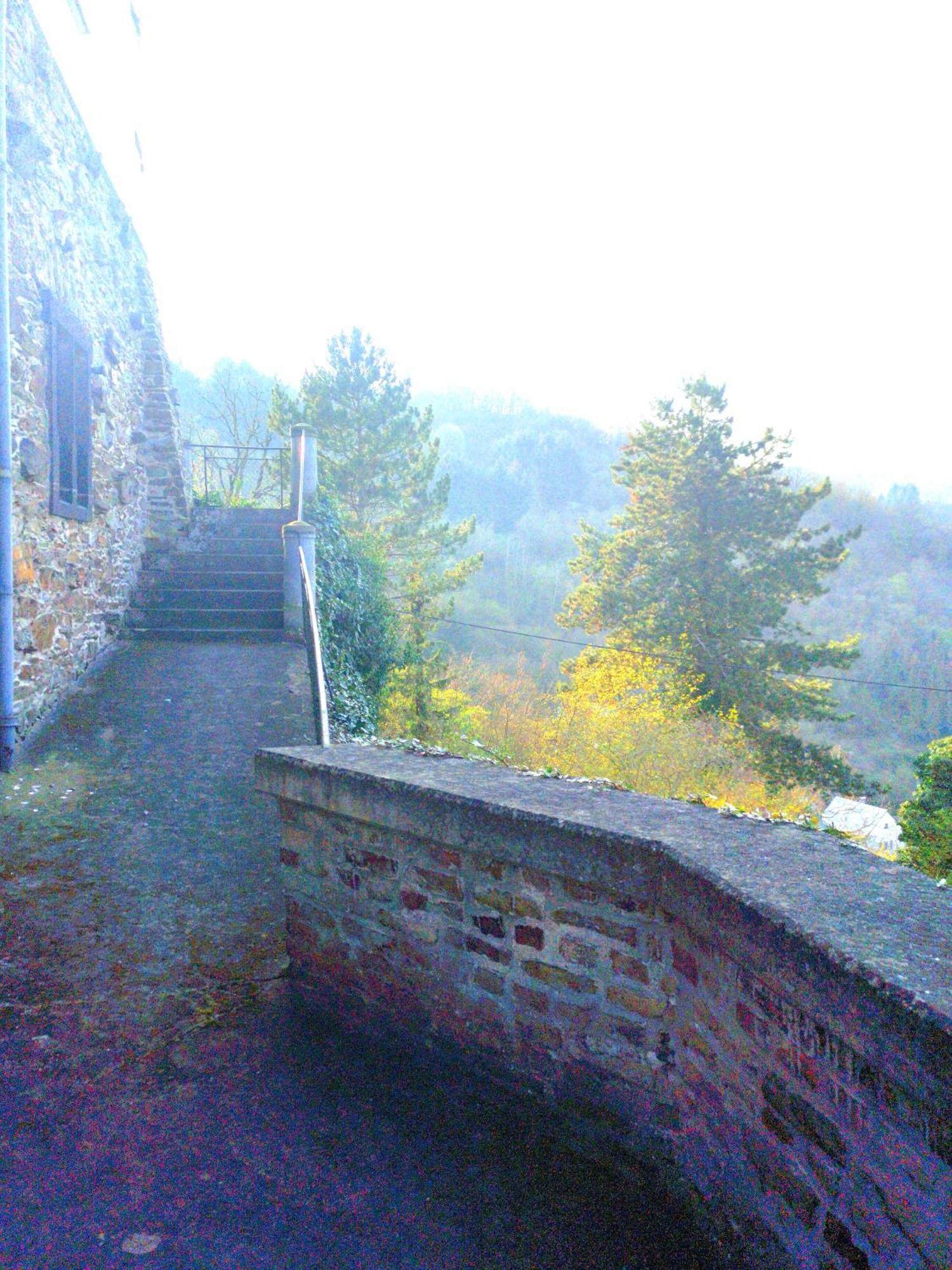 Little Rhineview Chateau Ug ボッパルト エクステリア 写真
